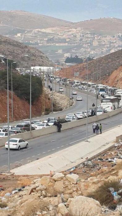 10846641_10155012829710145_1291232308_n